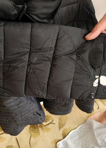 s Beden Erkek Siyah Fermuarlı Yüksek Yakalı Mont