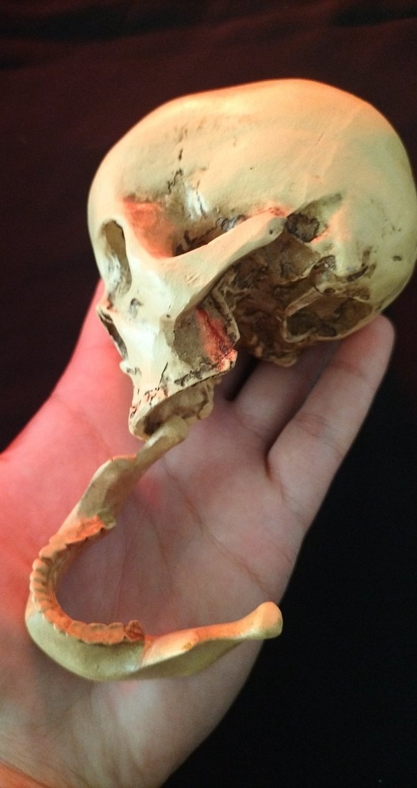 Bej Kafatası Figürü - Görsel 3