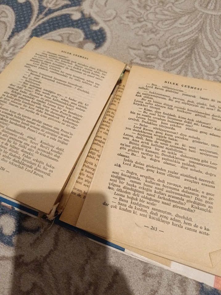 Dilek Çeşmesi Romanı - Kelebek Yayınları Barbara Cartland - Görsel 4