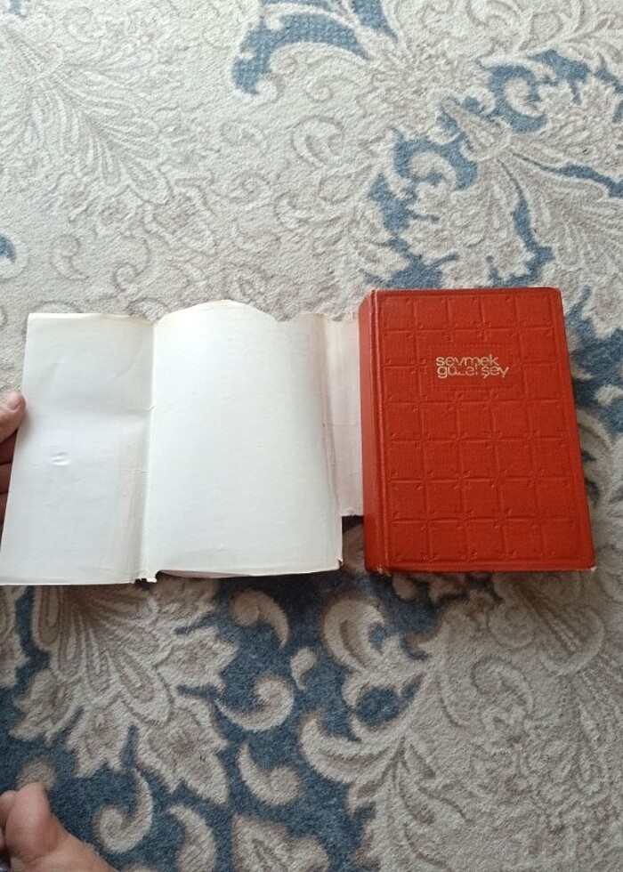 Sevmek güzel şey kitap roman  - Görsel 2