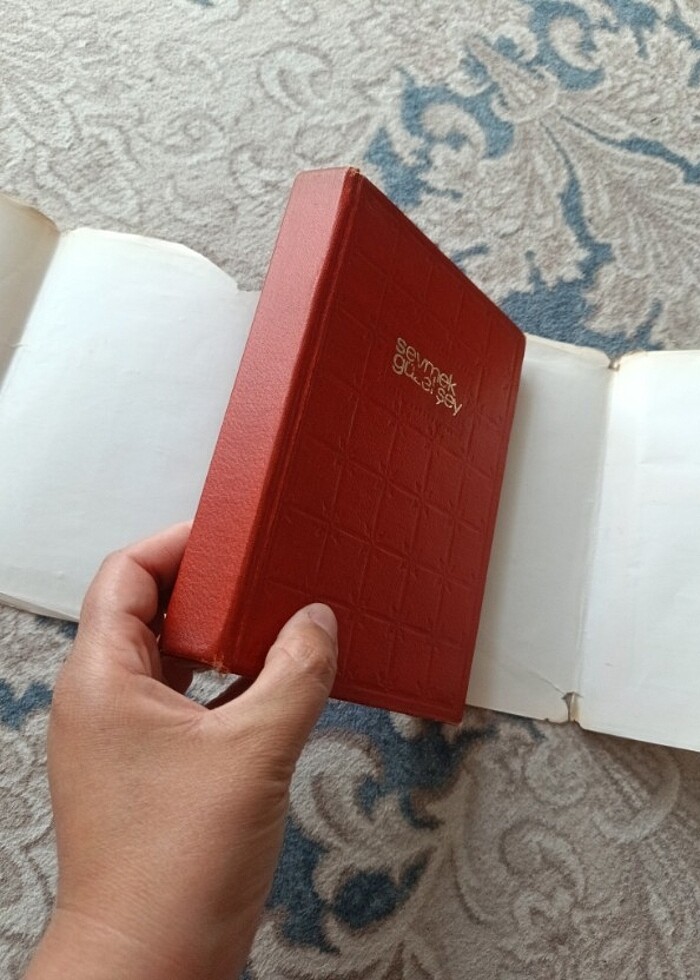 Sevmek güzel şey kitap roman  - Görsel 5