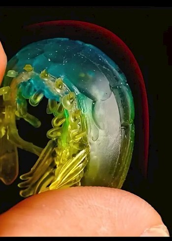 7 adet karanlıkta parlayan silikon karides yem - Görsel 3