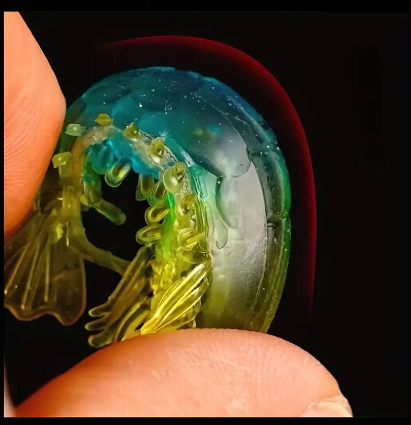 7 adet karanlıkta parlayan silikon karides yem - Görsel 3