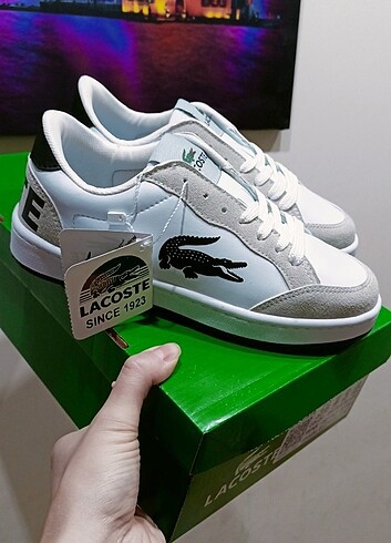 Lacoste Lacoste snekars