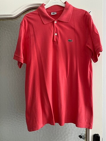 Erkek lacoste