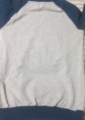 Gri Baskılı Erkek Sweatshirt - Görsel 3