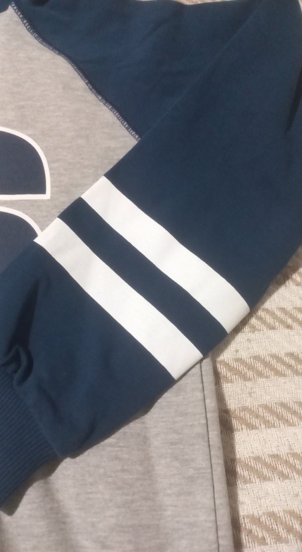 Gri Baskılı Erkek Sweatshirt - Görsel 2