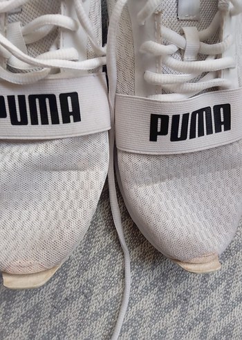 Puma 41