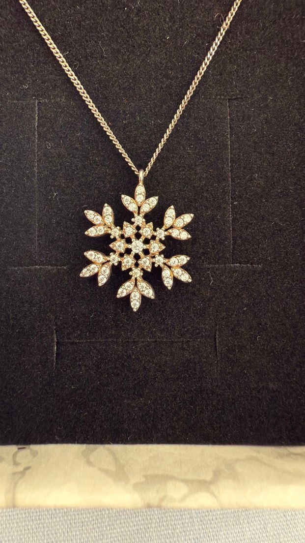 Gümüş kolye - Görsel 2