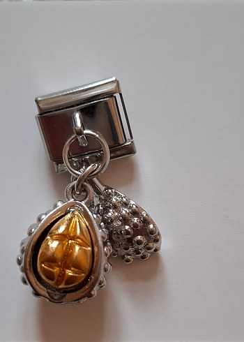 Charm
