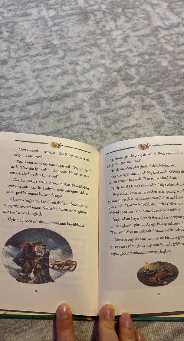 Heidi - Johanna Spyri Çocuk Kitabı - Görsel 5