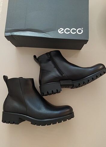 Ecco Ecco deri bot