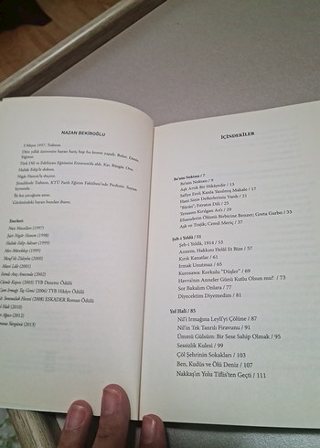 Yol Hali - Nazan Bekiroğlu - Görsel 7