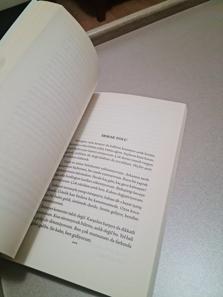 Yol Hali - Nazan Bekiroğlu - Görsel 3