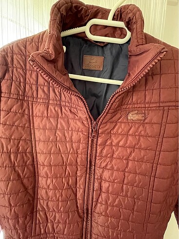 Lacoste Bayan mont