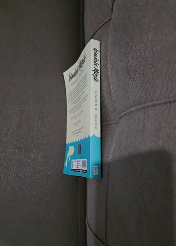 İçimdeki Müzik - Sharon M. DraperKİTAP İÇİMDEKİ MÜZİK ÖDÜLLÜ - Görsel 3