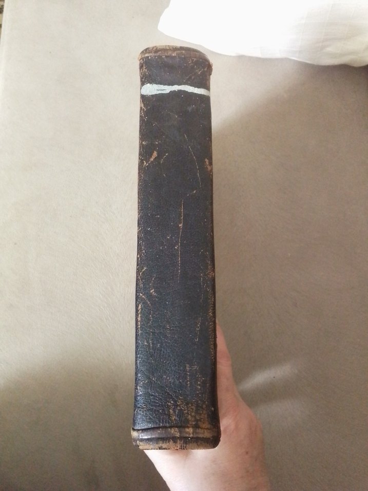 1927 basım Nutuk - Görsel 2