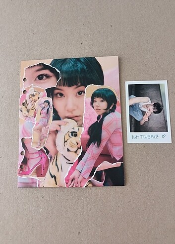 Sana binder cover 