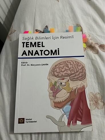 Temel anatomi