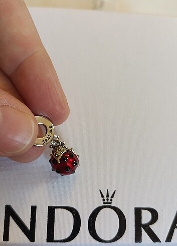 Pandora PANDORA YENİ SERİ UĞUR BÖCEĞİ CHARM