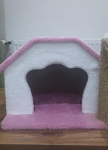 Kedi evi