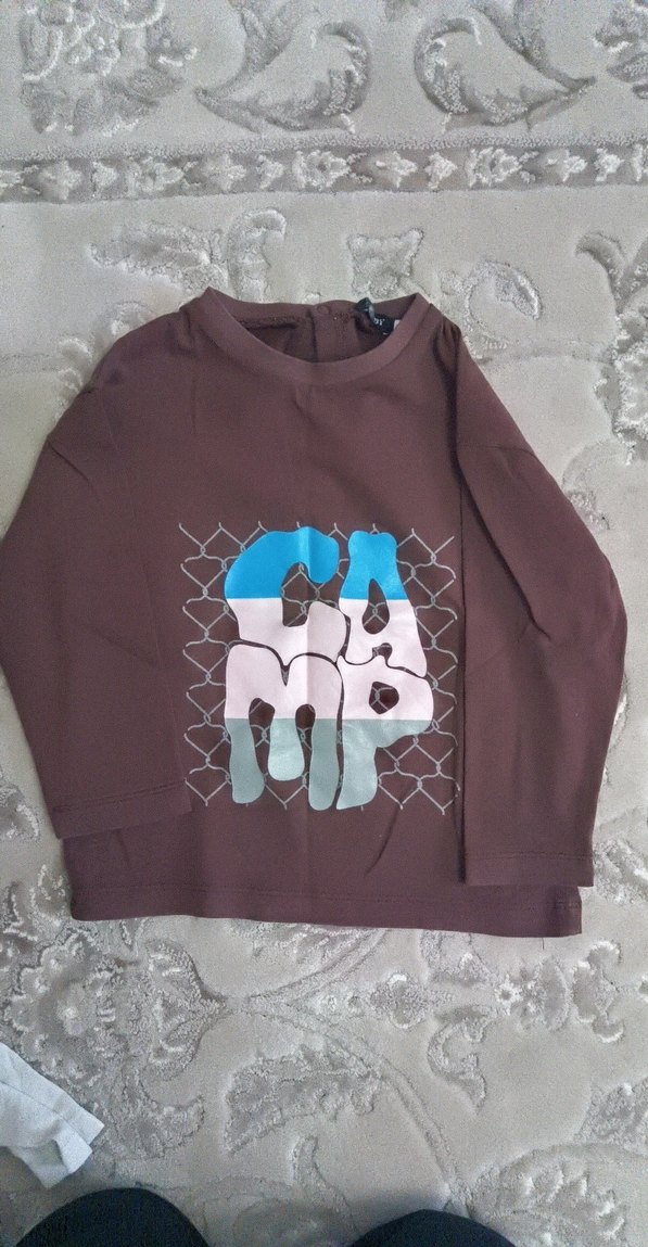 Erkek Çocuk Kahverengi Baskılı  3 adet uzun kollu  tişört - Görsel 2
