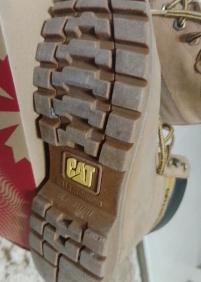 Cat bot  - Görsel 4