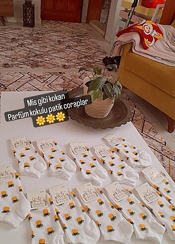Patik corap tane 15 çifti 25 tl 