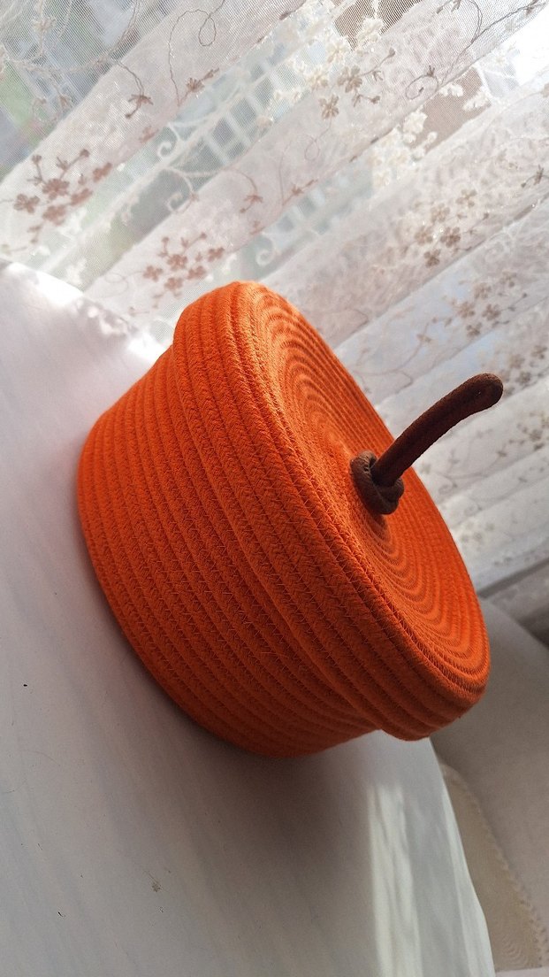 Turuncu Kapaklı Saklama Sepeti - Görsel 2