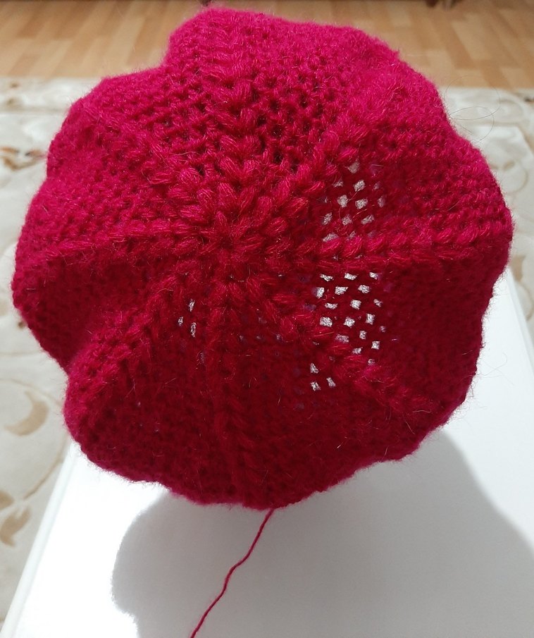 Kadın Pembe Örgü Bere - Görsel 3