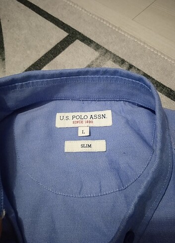 l Beden US Polo assen 