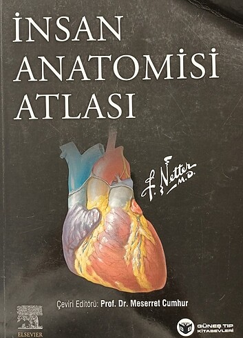 netter anatomi atlası