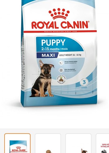 Royal Canin Maxi Yavru Köpek Maması 2-15 Ay