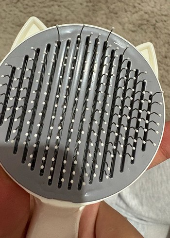 Kedi tarağı - Görsel 7