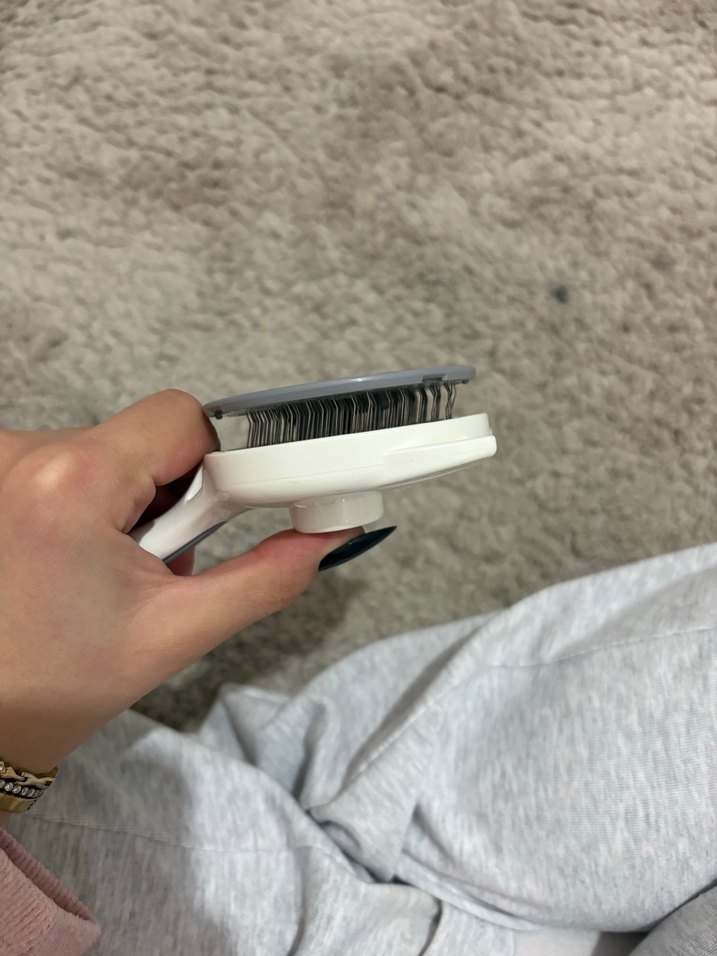 Kedi tarağı - Görsel 4