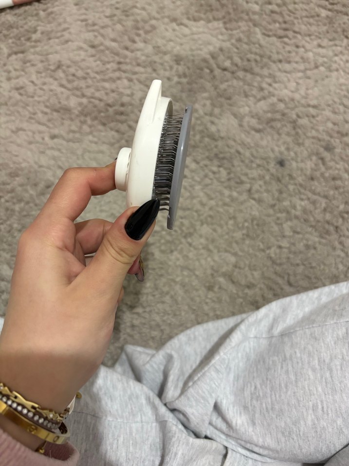 Kedi tarağı - Görsel 3