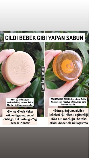 Sabun