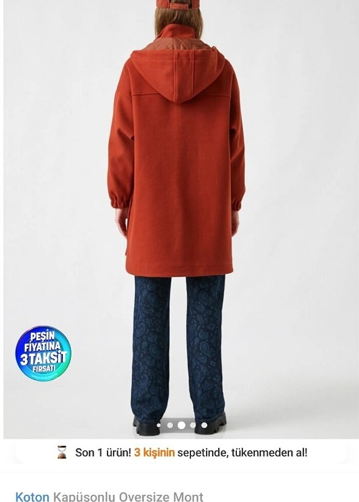 Kaban kaşe mont - Görsel 2