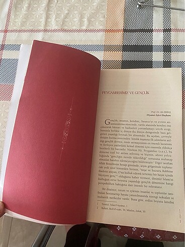 Beden Renk Peygamberimiz ve Gençlik kitabı yeni