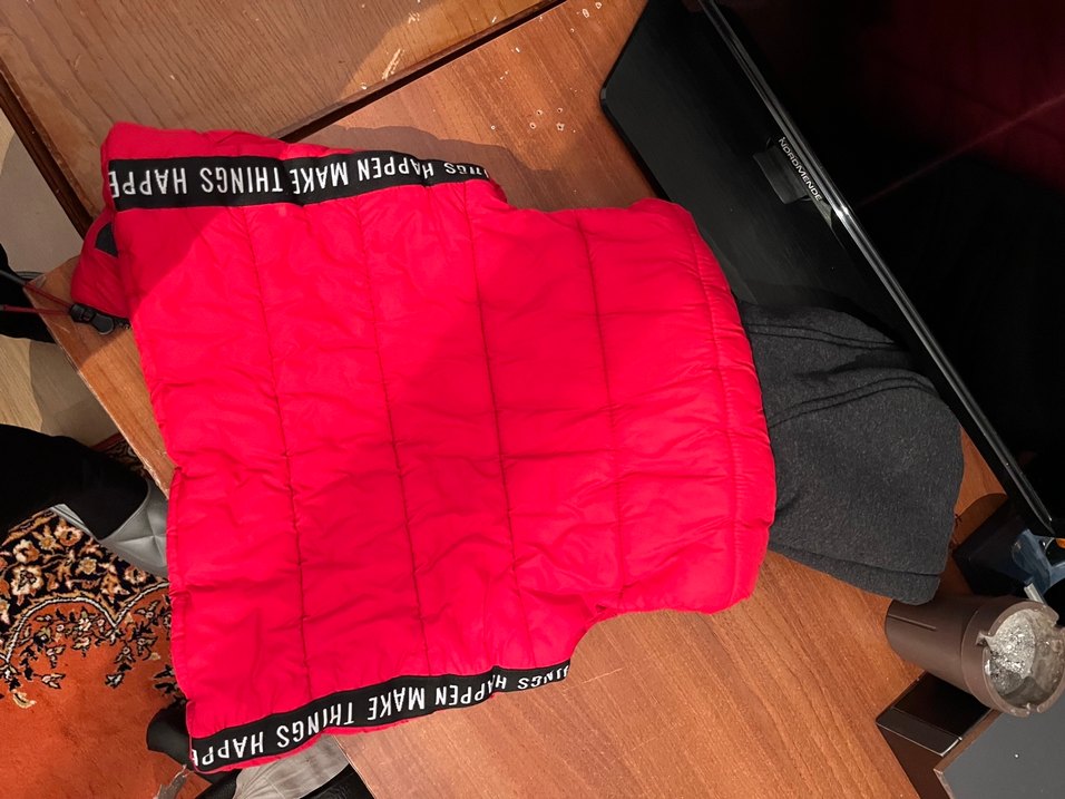 Erkek Çocuk Kırmızı Kapüşonlu Fermuarlı Kısa Mont - Görsel 3