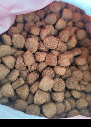Gardrops ilanı