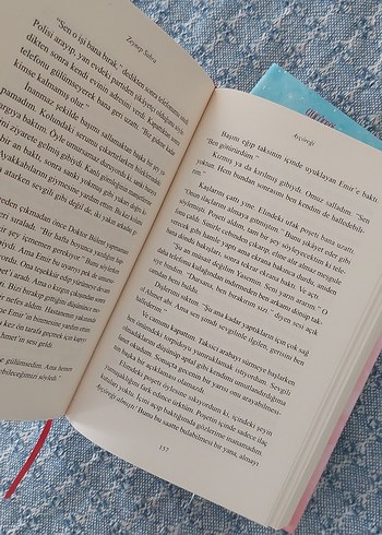 Aycoreği ve Elmalı Turta Roman Seti - Görsel 4