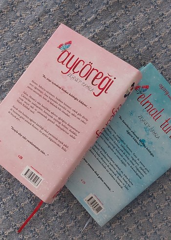 Aycoreği ve Elmalı Turta Roman Seti - Görsel 3