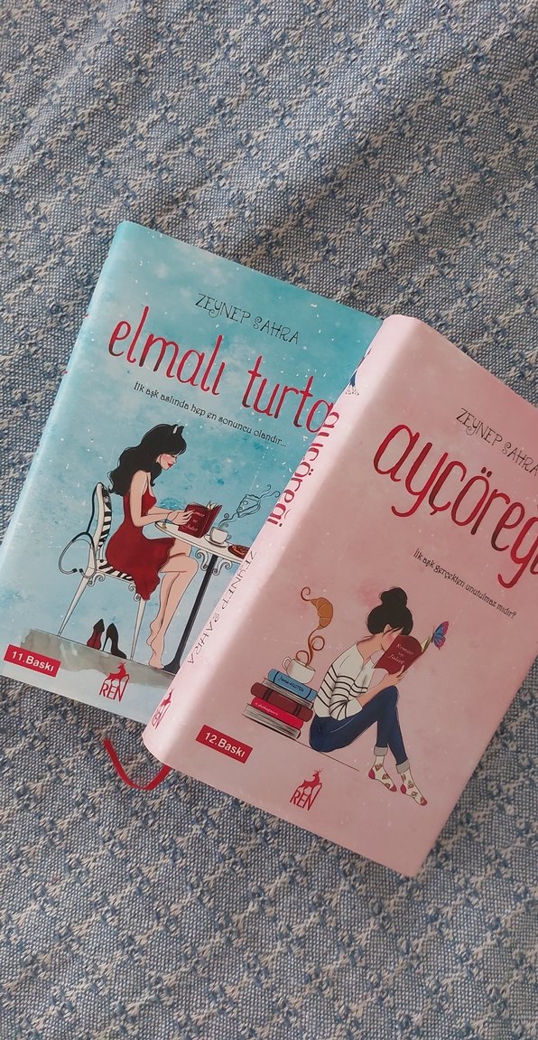 Aycoreği ve Elmalı Turta Roman Seti - Görsel 2