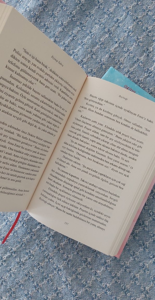 Aycoreği ve Elmalı Turta Roman Seti - Görsel 4