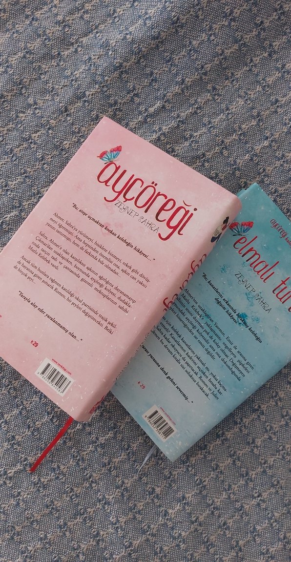 Aycoreği ve Elmalı Turta Roman Seti - Görsel 3