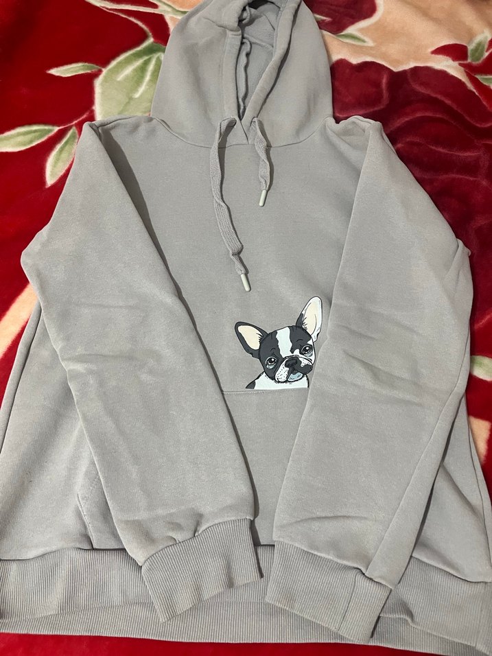 Gri Kapüşonlu Sweatshirt Baskılı - Görsel 2