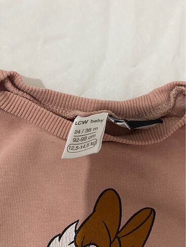 LC Waikiki Sweat