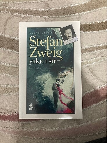  Stefan Zweig Korku - Yakıcı sır - Ay ışığı sokağı
