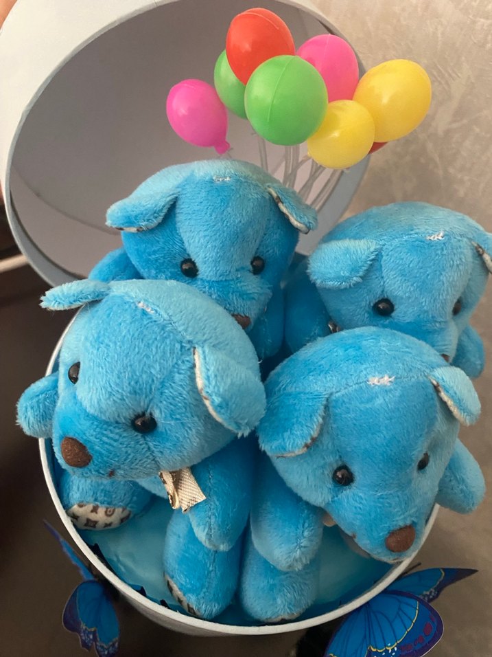 Renkli Mavi Peluş Ayıcık Seti - Görsel 5